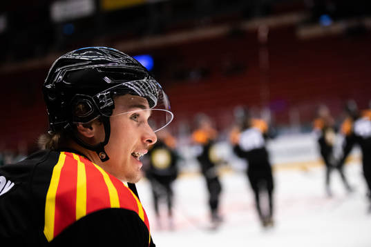 Brynäs Dmytro Timashov