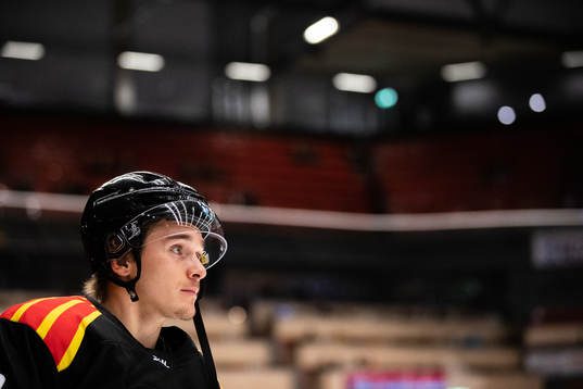 Brynäs Dmytro Timashov