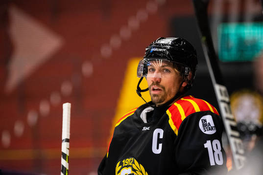 Brynäs Anton Rödin