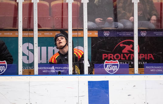 Brynäs Dmytro Timashov utvisad