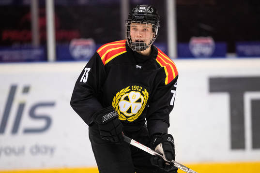 Brynäs Theo Lindstein