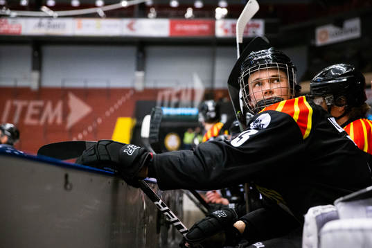 Brynäs Theo Lindstein