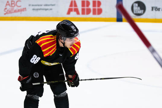 Brynäs Dmytro Timashov deppar