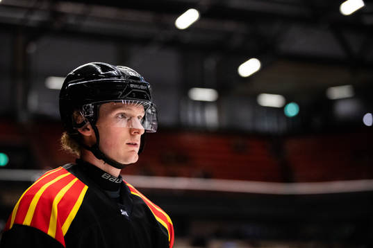 Brynäs Oskar Kvist