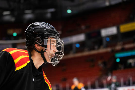Brynäs Theo Lindstein