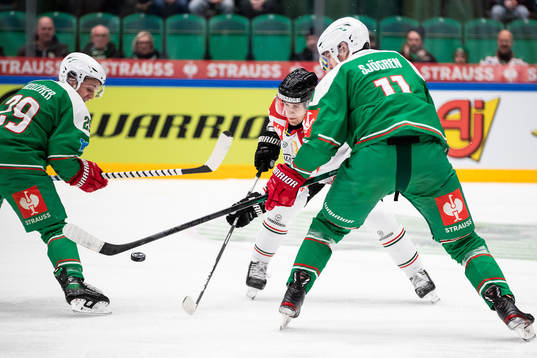 Tyler Kelleher and Mattias Sjögren of Rögle against
