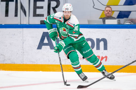 Rögles Ted Brithén
