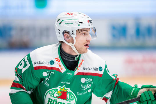 Rögles Leon Bristedt