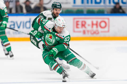 Rögles Leon Bristedt