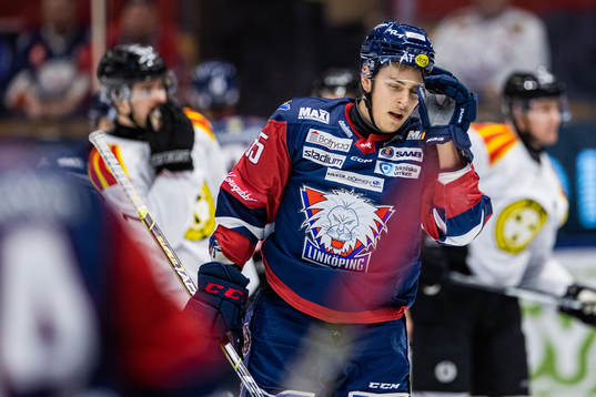 Linköpings Max Lindroth deppar