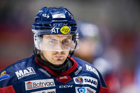 Linköpings Markus Ljungh jublar