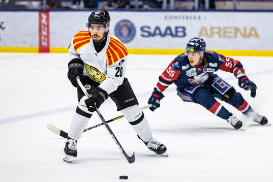 Brynäs Oula Palve