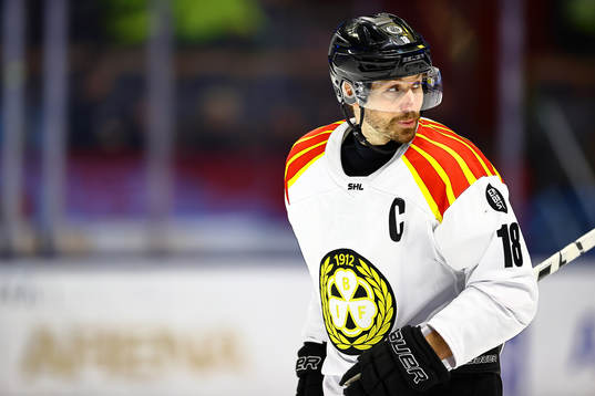 Brynäs Anton Rödin