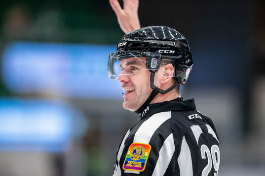 Domare Richard Magnusson