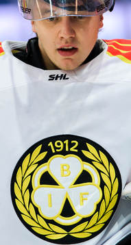 Brynäs målvakt Veini Vehviläinen