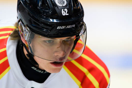 Brynäs Tom Hedberg