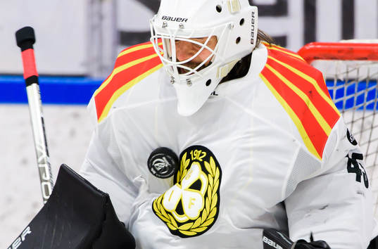 Brynäs målvakt Kristers Gudlevskis