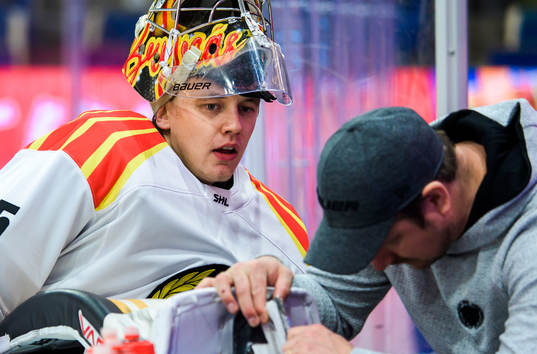 Brynäs målvakt Veini Vehviläinen