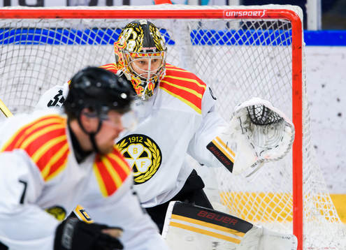 Brynäs målvakt Veini Vehviläinen
