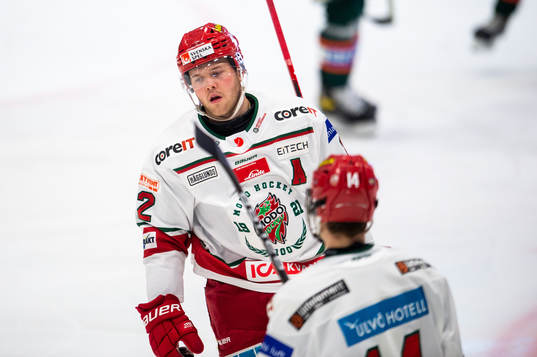 Modos Oscar Pettersson och Jakob Nordin deppar