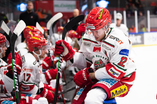Modos Oscar Pettersson deppar