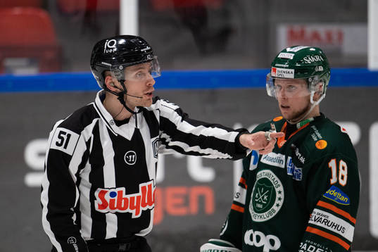 Domare Niclas Elmerstig