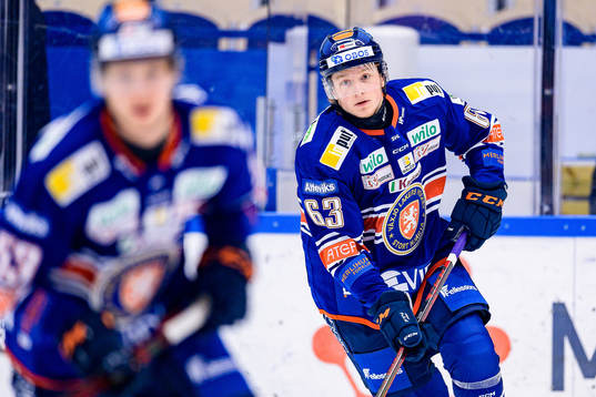 Växjös Michael Krutil