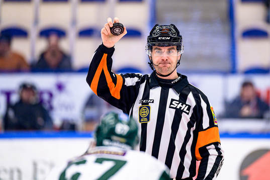 Domare Richard Magnusson