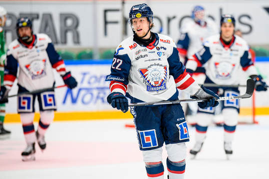 Linköpings Vilmos Gallo