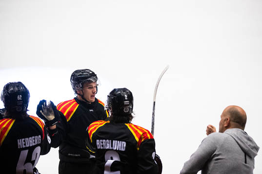 Brynäs Dmytro Timashov jublar