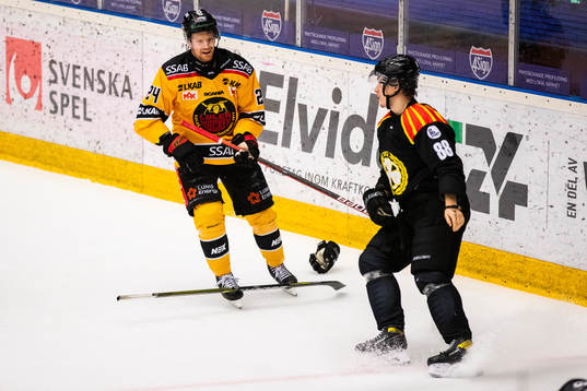 Brynäs Dmytro Timashov blir av med klubba och handske