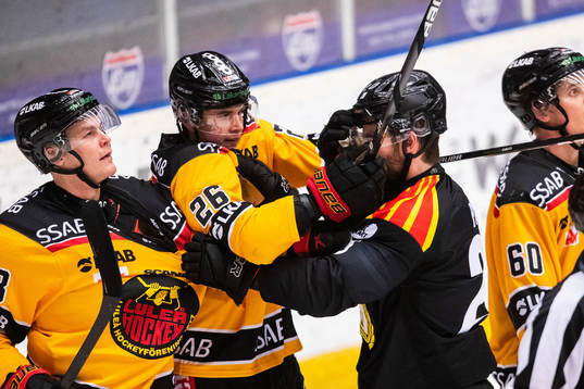 Luleås Radek Muzik och Brynäs Oula Palve