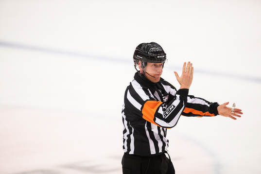 Domare Mikael Holm