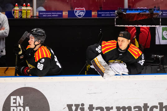 Brynäs målvakt Veini Vehviläinen