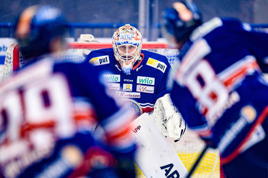 Växjös målvakt Janis Kalnins