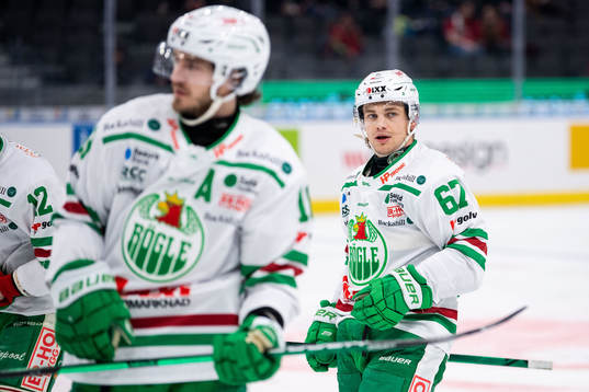 Rögles Leon Bristedt