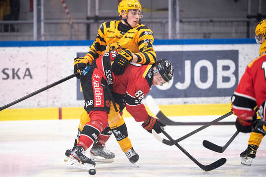 Skellefteås Adam Wilsby och Luleås Joonas Rask
