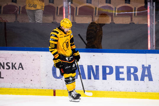 Skellefteås Jayce Hawryluk deppar