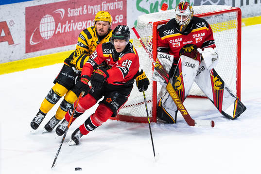 Skellefteås Jayce Hawryluk och Luleås Erik Gustafsson