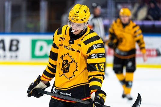 Skellefteås Stefan Loibl deppar