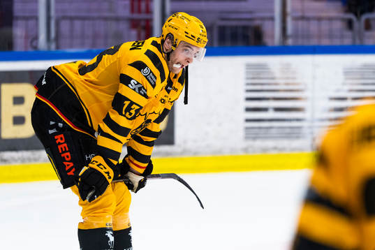 Skellefteås Stefan Loibl deppar