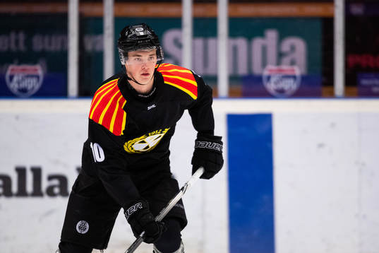 Brynäs Noel Gunler