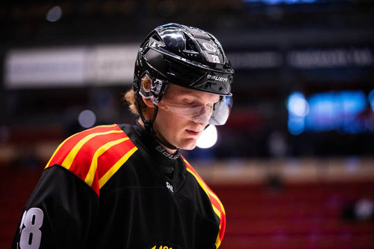 Brynäs Oskar Kvist