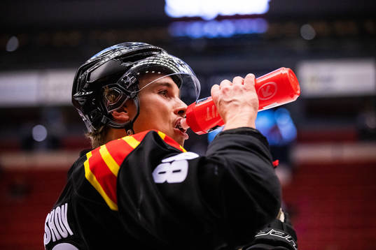 Brynäs Dmytro Timashov