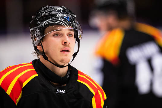 Brynäs Dmytro Timashov