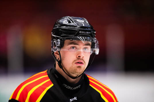 Brynäs Marcus Björk