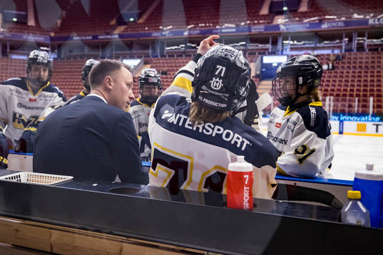 HV71s tränare Joakim Engström