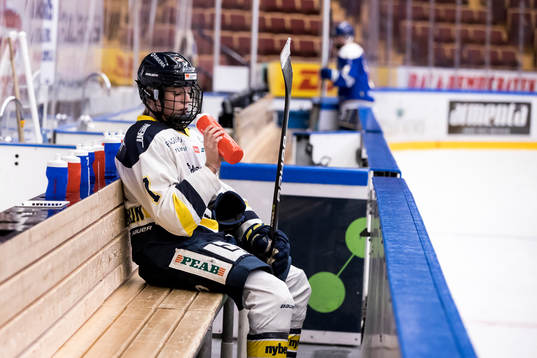 HV71s Thea Johansson deppar