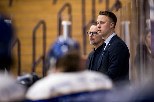 HV71s tränare Joakim Engström