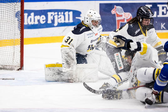HV71s målvakt Alba Gonzalo
